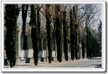 Castillo en Lomas de Chapultepec